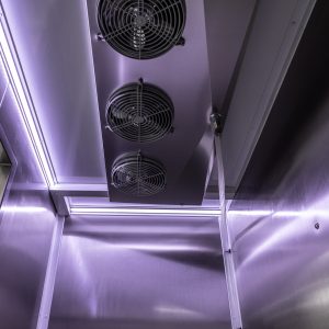 Авто Цыпленок