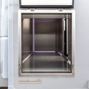 Авто Цыпленок