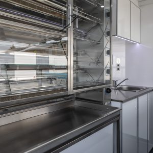 Авто Цыпленок