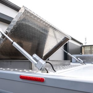 Авто Цыпленок