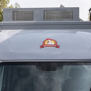 Авто Цыпленок